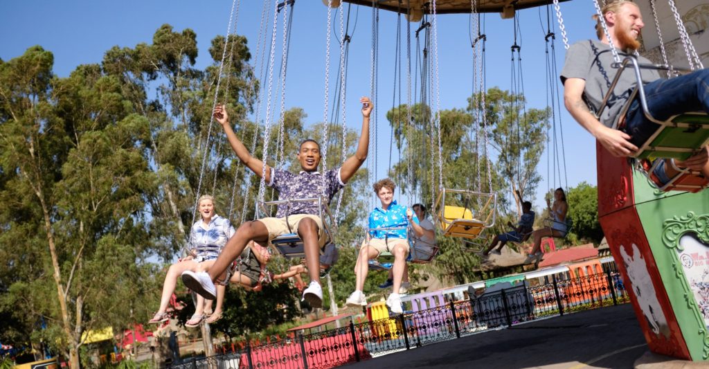 WAVE SWINGS